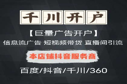 行业领先企业的网络推广与竞价经验