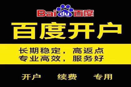 百度竞价账户托管：案例解析与实战技巧